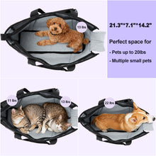 Load image into Gallery viewer, Ownpets Large Pet Carrier Backpack for Cats and Dogs, Airline Approved Soft-Sided Travel Bag with Warm Padding & Safety Tether