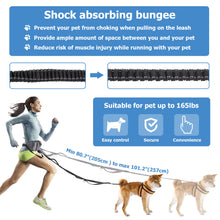 Load image into Gallery viewer, Premium Breathable Adjustable Waist Bag & Elastic Shock-absorbing Dog Leash with Safety Reflective Strips, Convenient Pockets, Ideal for Walking, Jogging, Hiking, Training Dogs