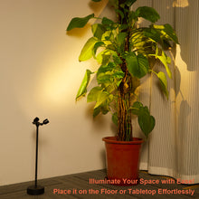 Load image into Gallery viewer, IMAGE Rechargeable Cordless Spotlight for Plants Pictures Artwork Jewelry Showcase Model Display Shelves Cabinet Table Lamp for Home Dinner Bar, Warm White