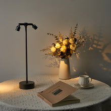 Load image into Gallery viewer, IMAGE Rechargeable Cordless Spotlight for Plants Pictures Artwork Jewelry Showcase Model Display Shelves Cabinet Table Lamp for Home Dinner Bar, Warm White