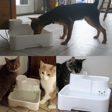 Load image into Gallery viewer, Ownpets Pet Fountain Auto Pet Feeder Water Dispenser with Water Filter