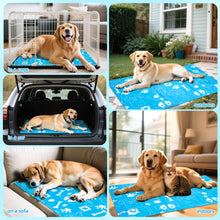 Load image into Gallery viewer, Ownpets Pet Cooling Mat for Dogs & Cats, Water-Filled Leak-proof Ice Pad, Durable Oxford Fabric, Indoor-Outdoor Use, No Electricity Needed, Sky Blue, Size XL