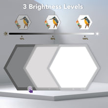 Load image into Gallery viewer, IMAGE 17.2×14.9 Inch Hexagon LED Light Box for Tracing, 3 Brightness Levels, Ideal Light Table for Creative Exploration: Drawing, Streaming, Sketching, Animation, Stenciling