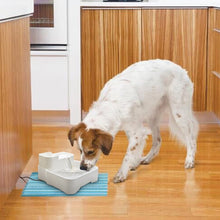 Load image into Gallery viewer, Ownpets Pet Fountain Auto Pet Feeder Water Dispenser with Water Filter