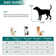 Load image into Gallery viewer, Ownpets Collapsible Dog Crate, 36 inch Portable Travel Dog Crate for Large Dogs, 4-Door Foldable Pet Kennel with Durable Mesh Windows & Soft Mat