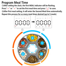 Load image into Gallery viewer, Ownpets 6 Meals Cordless Rechargeable Battery Automatic Cat Feeder for Wet/Dry Food with 2 Ice Packs for Cats/Small Dogs