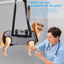 Load image into Gallery viewer, Pet Lift Harness Legs Support & Rehabilitation Dog Carry Sling Hanging Hammock, Adjustable Vest for Old, Disabled Dogs with Joint Injuries, Arthritis, Loss of Stability, XXL