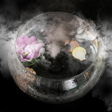 Load image into Gallery viewer, AGPtEK Mist Maker Fog Maker for Water Fountain Pond Rockery Fishtank Vase Birdbath