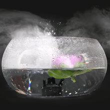 Load image into Gallery viewer, AGPtEK Mist Maker Fog Maker for Water Fountain Pond Rockery Fishtank Vase Birdbath