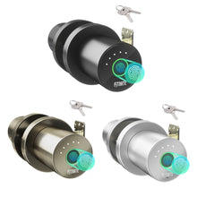 Load image into Gallery viewer, Smart Biometric Door Lock Fingerprint Door knob with App Control for Bedroom,Home,Hotel,Office, Silver