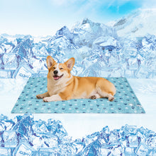 Load image into Gallery viewer, Ownpets Pet Cooling Mat for Dogs & Cats, Water-Filled Leak-proof Ice Pad, Durable Oxford Fabric, Indoor-Outdoor Use, Lake Blue, Size L