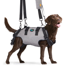 Load image into Gallery viewer, Ownpets Upgraded Dog Sling Harness, Outdoor Sling Bag for Spine Protection, Whole Body Support, Support Vest to Assist Aged Dogs, Size XL