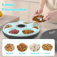 Load image into Gallery viewer, 6 Meals Automatic Cat Feeder for Wet/Dry Food, with 2 Ice Packs, Programmable Timed Pet Feeder, Cordless Rechargeable Battery Auto Feeder for Cats/Small Dogs Black