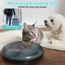 Load image into Gallery viewer, 6 Meals Automatic Cat Feeder for Wet/Dry Food, with 2 Ice Packs, Programmable Timed Pet Feeder, Cordless Rechargeable Battery Auto Feeder for Cats/Small Dogs Black