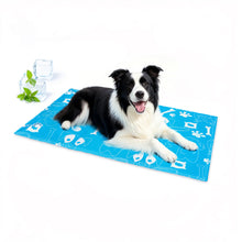 Load image into Gallery viewer, Ownpets Pet Cooling Mat for Dogs & Cats, Water-Filled Leak-proof Ice Pad, Durable Oxford Fabric, Indoor-Outdoor Use, No Electricity Needed, Sky Blue, Size XL