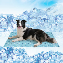 Load image into Gallery viewer, Ownpets Pet Cooling Mat for Dogs & Cats, Water-Filled Leak-proof Ice Pad, Durable Oxford Fabric, Indoor-Outdoor Use, Lake Blue, Size XL