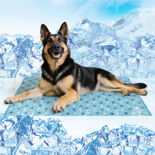 Load image into Gallery viewer, Ownpets Pet Cooling Mat for Dogs & Cats, Water-Filled Leak-proof Ice Pad, Durable Oxford Fabric, Indoor-Outdoor Use, Lake Blue, Size XXL