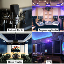 Load image into Gallery viewer, 2"x12"x12" Sound Proof Padding, AGPTEK 12 Packs Acoustic Foam Panels, Sound Absorbing Foam for Recording Studio, TV Room, Kid’s Room, Office and Podcast Recording, Black
