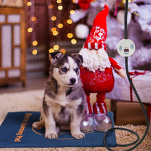 Load image into Gallery viewer, 24in Pet Heating Pad Electric Blanket Waterproof Mat Mattress Washable Cover Dog Catr