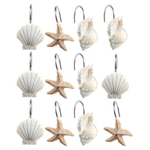 Load image into Gallery viewer, AGPTEK 12 PCS DECORATIVE Seashell Shower Curtain Hooks Bathroom Beach Shell Decor