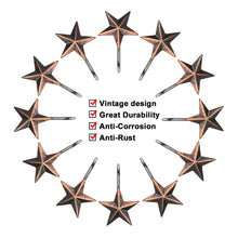 Load image into Gallery viewer, 12Pcs Anti-rust Star Decorative Shower Curtain Hooks
