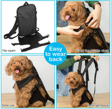 Load image into Gallery viewer, Ownpets Legs Out Front Dog Carrier, Hands-Free Adjustable Pet Carrier Backpack for Small Medium Cat Puppy Doggie (Large)
