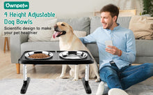 Load image into Gallery viewer, Ownpets Elevated Dog Bowls, Raised Food and Water Bowls with Adjustable Stand, No Spill Stainless Steel Pet Bowls with 4 Heights for Small, Medium & Large Dogs