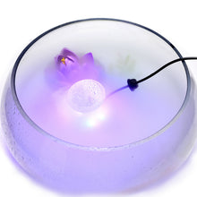 Load image into Gallery viewer, 12 LED Mist Maker Fogger Water Fountain Pond Fog Machine Atomizer Air Humidifier