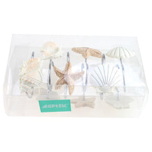 Load image into Gallery viewer, AGPTEK 12 PCS DECORATIVE Seashell Shower Curtain Hooks Bathroom Beach Shell Decor