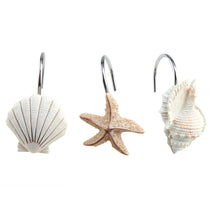 Load image into Gallery viewer, AGPTEK 12 PCS DECORATIVE Seashell Shower Curtain Hooks Bathroom Beach Shell Decor