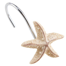 Load image into Gallery viewer, AGPTEK 12 PCS DECORATIVE Seashell Shower Curtain Hooks Bathroom Beach Shell Decor