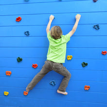 Load image into Gallery viewer, 20x Climbing Wall Holds 40x T-nut Bolt Rock Wall Indoor Outdoor Playground Set