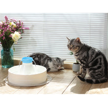 Load image into Gallery viewer, Ownpets® Pets Drinking Fountain, Active Oxygen Cycle Two Drinking Area 3L/0.8Gallon Capacity