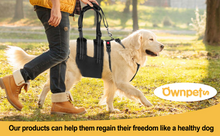 Load image into Gallery viewer, Size L Support Harness Set Adjustable Chest Sling Strap for Elderly Disable Dog