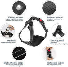 Load image into Gallery viewer, Size L Support Harness Set Adjustable Chest Sling Strap for Elderly Disable Dog