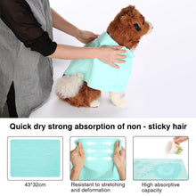 Load image into Gallery viewer, 2 In 1 Pet Hair Dryer Blower Slicker Brush Portable Dog Cat Grooming Low Noise