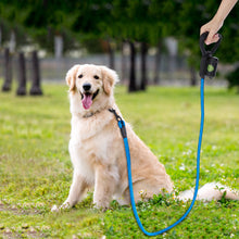 Load image into Gallery viewer, Ownpets Reflective Dog Leash 5ft Hands-Free With Waste Bag Dispenser Blue