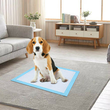 Load image into Gallery viewer, Ownpets Pet Dog Training Pads 40pcs 60x60cm 6 Layer Underpads Pee Mats Quick Dry