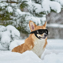 Load image into Gallery viewer, Ownpets Pet Dog Glasses UV Snow Wind Dust Protection Goggles with Adjustable Strap Safety Black, Sunglasses for Small and Medium Dog