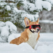 Load image into Gallery viewer, Ownpets Googles for Dogs, Pet UV Snow Wind Dust Protection Glasses Adjustable Strap Safety Red, Sunglasses for Small and Medium Dog