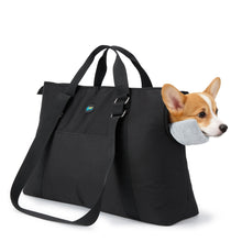Load image into Gallery viewer, Ownpets Large Pet Carrier Backpack for Cats and Dogs, Airline Approved Soft-Sided Travel Bag with Warm Padding &amp; Safety Tether
