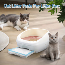 Load image into Gallery viewer, 50Pcs Super Absorbent Cat Litter Mat with 6-Layer Leak-Proof Design, Disposable for Easy Cleanup, Multi-Purpose Use, Ultra-Thick 20g Per Mat, Various Packaging Options Available
