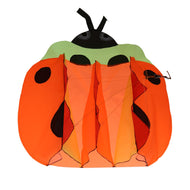 Large Orange Ladybird Breeze Beach Kites with Huge 3D Kite Gift for Kids, Family