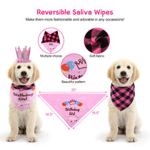 Load image into Gallery viewer, Ownpets Cute Dog Birthday Outfit Set, Princess Puppy Tutu Skirt with Pink Crown, Pearl Necklace, Double Sided Saliva Towel &amp; Birthday Banner for Puppy, Dog, Cat Girl Birthday Parties
