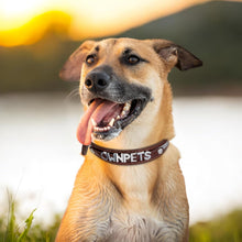 Load image into Gallery viewer, Ownpets Microfiber Leather Personalized Dog Collar for Large and Extra Large Dogs Adjustable Soft Custom Name Pet Collars, Brown, Size XL

