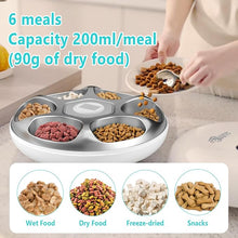 Load image into Gallery viewer, Ownpets Automatic Cat Feeder for Wet Food, with Stainless Steel Tray and 2 Ice Packs, 6 Meals Rechargeable Cat Food Dispenser for Cats Small Dogs
