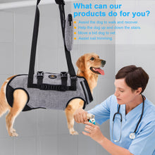 Load image into Gallery viewer, Pet Lift Harness Legs Support &amp; Rehabilitation Dog Carry Sling Hanging Hammock, Adjustable Vest for Old, Disabled Dogs with Joint Injuries, Arthritis, Loss of Stability, XXL

