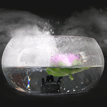 Load image into Gallery viewer, AGPtEK Mist Maker Fog Maker for Water Fountain Pond Rockery Fishtank Vase Birdbath

