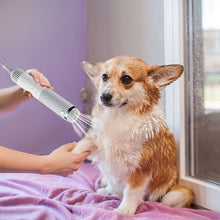 Load image into Gallery viewer, Ownpets 5 in1 Portable Smart Pet Grooming Hair Dryer for Dogs, Smart Temperature Control, Low Noise Dog Blow Dryer with Grooming Brush for Home, Pet Washing Station
