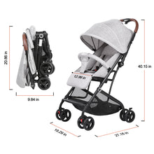 Load image into Gallery viewer, Gray Baby Stroller Carriage Buggy Lightweight Foldable Cynebaby Strollers for Infant
